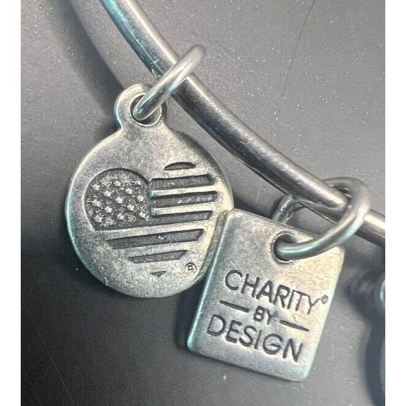 Alex and Ani Silver‎ Bangle Bracelet Completely Blessed Energy Charms Adjustable - Picture 6 of 10